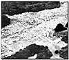 link-wj2-1924-camp.jpg (11994 bytes)