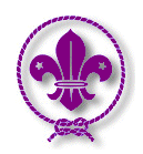 wosm100pwsh.gif (8205 bytes)
